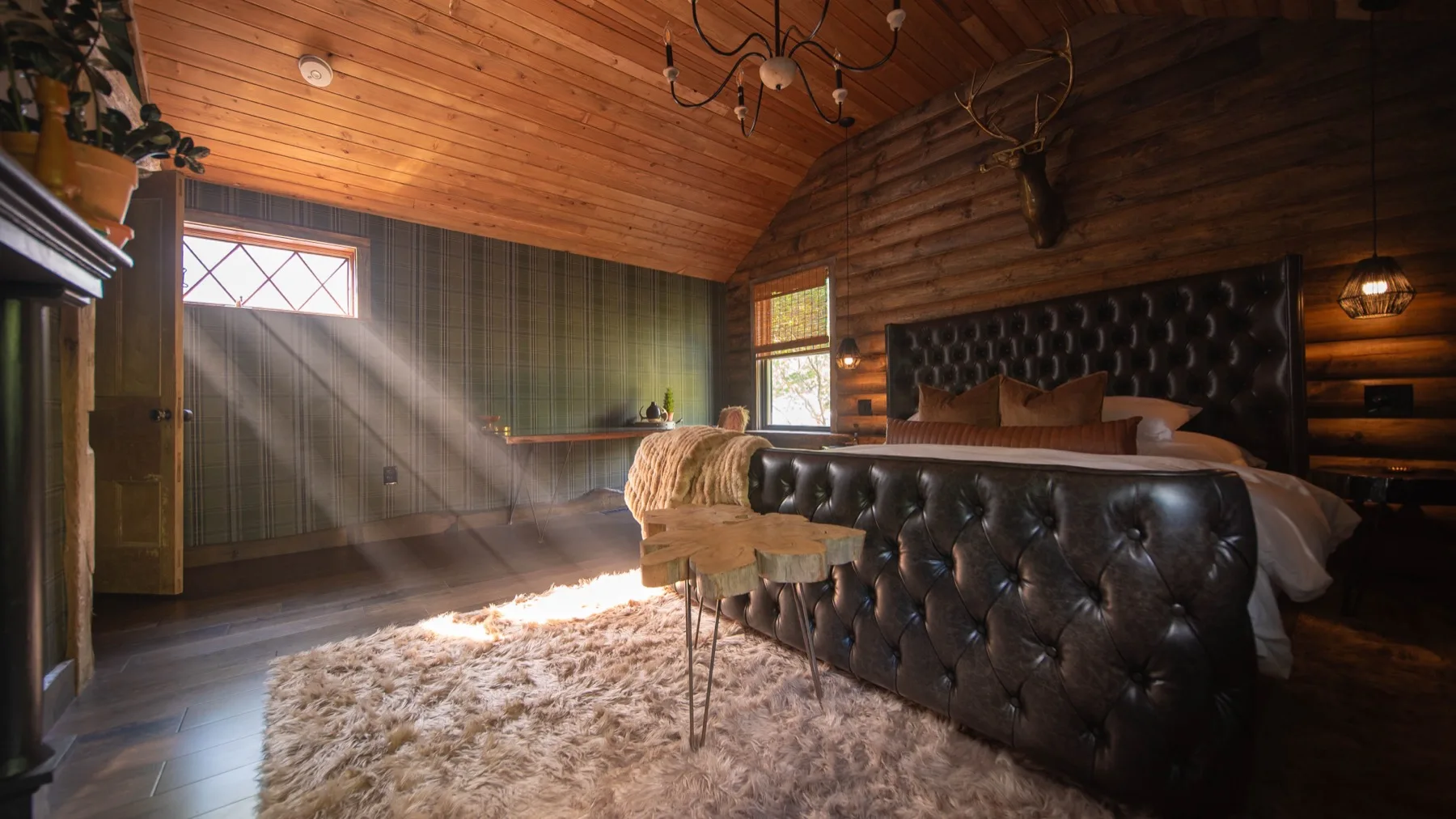 Primary bedroom with log walls, a black tufted leather bed and an antler mount above the headboard