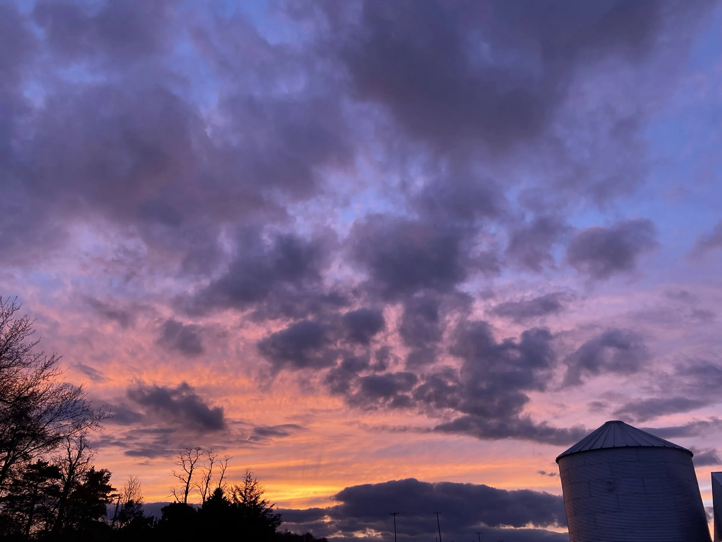 A deep pink and purple dusk sky over the bare-branch treeline and the corner of a corrugated metal grain silo at the West Barn
