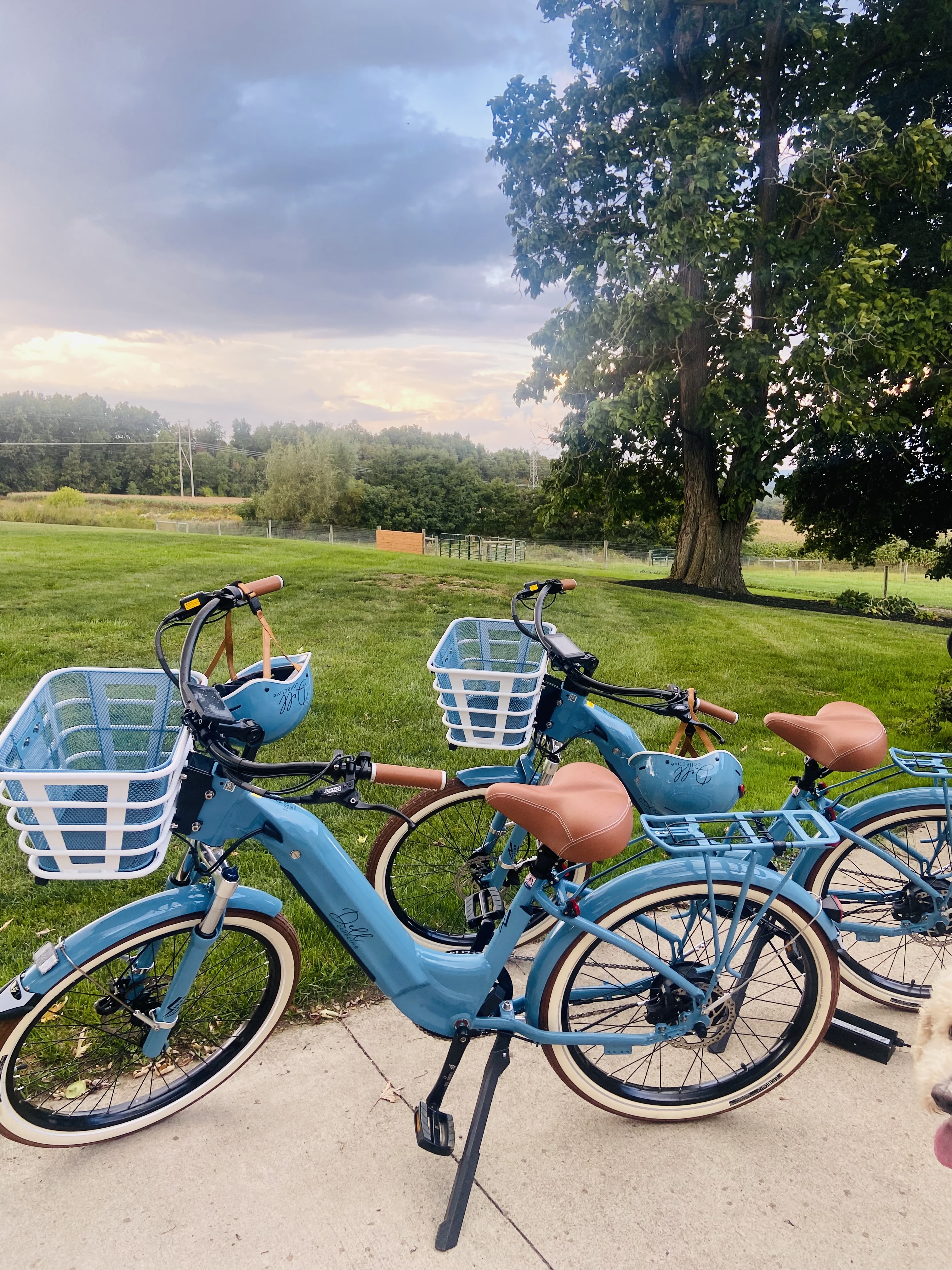 E-Bike Rental