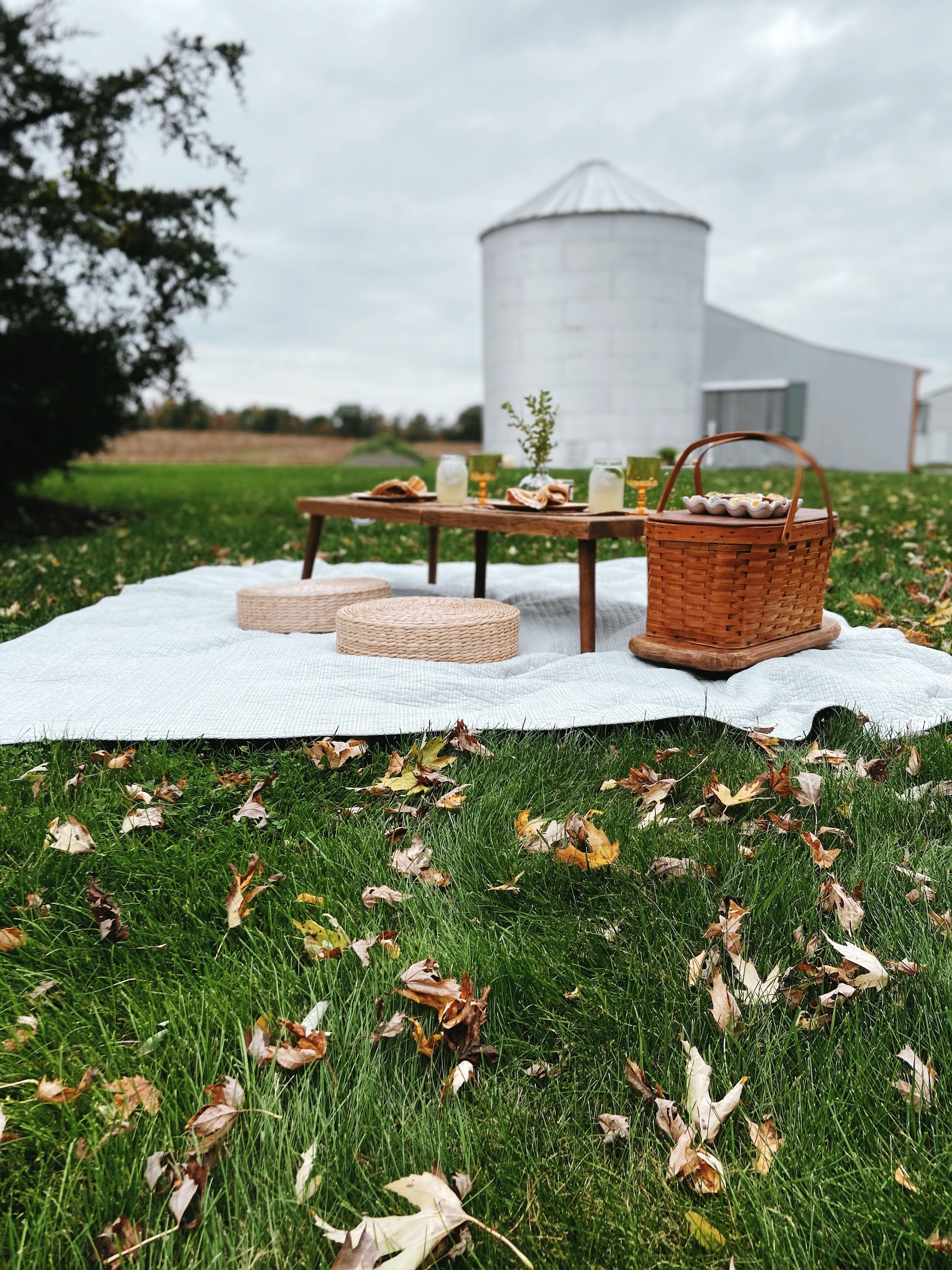 Picnic in the Yard