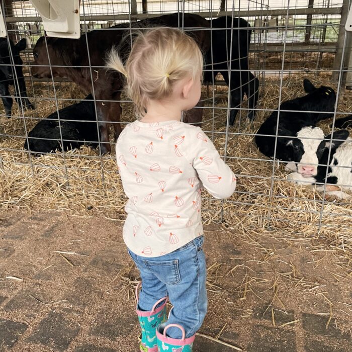Wyoming County Dairy Farm Tour