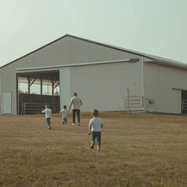 Dell Collective animal experience