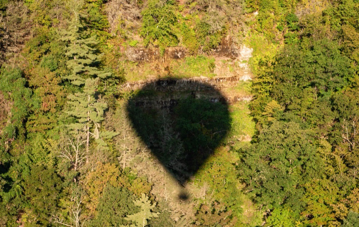 The shadow of a hot air balloon over the fall trees of the Letchworth gorge
